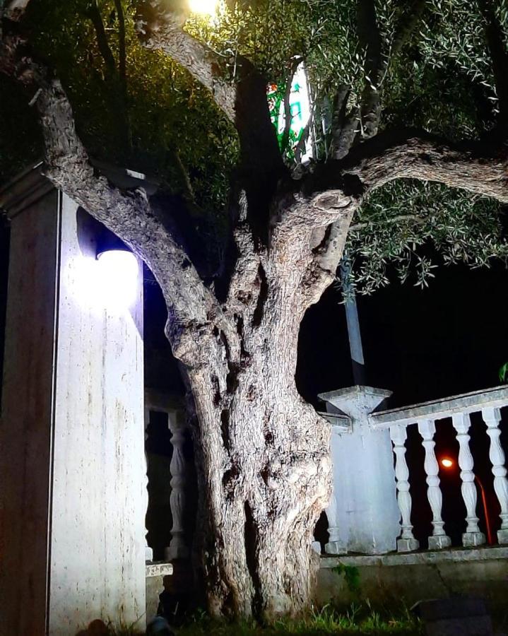 Hotel Le Olive Elbasan Exteriér fotografie